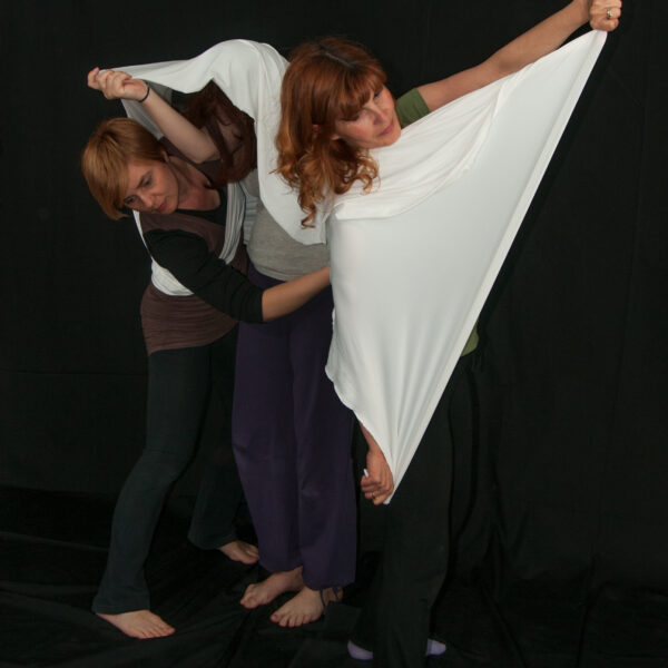 1. modul edukacije iz psihoterapije pokretom i plesom 8. i 9. 10. 2022.